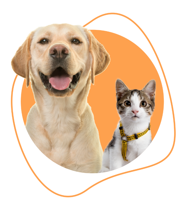 La pappa dei pelosi - Alimenti naturali per cani e gatti
